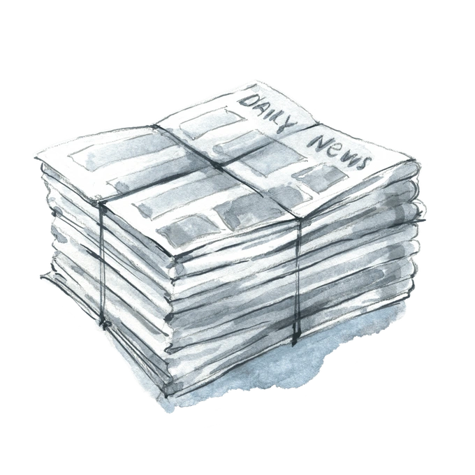 Aurora Allegra: i servizi che ti posso offrire nell'ambito del linguaggio